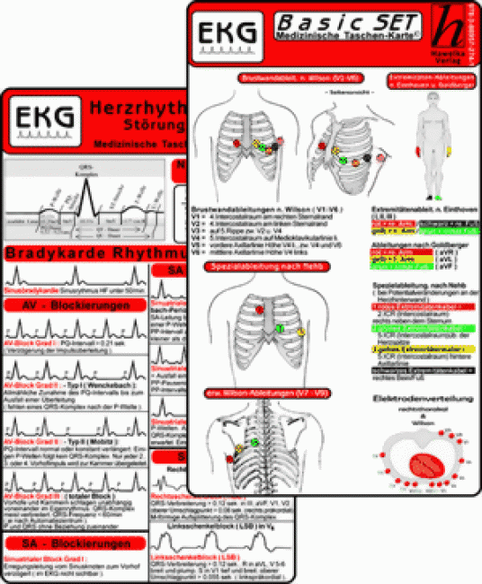 EKG Basic Set -professional- 3er Set
